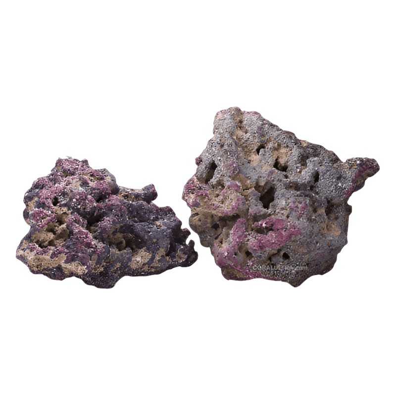 CS Original CoralUltra HD