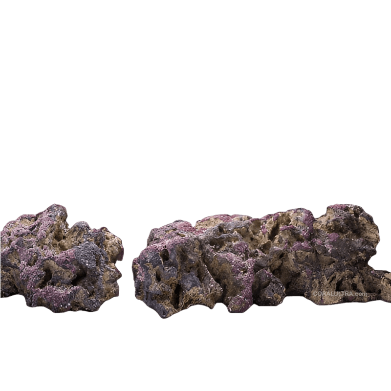 CS shelf CoralUltra HD