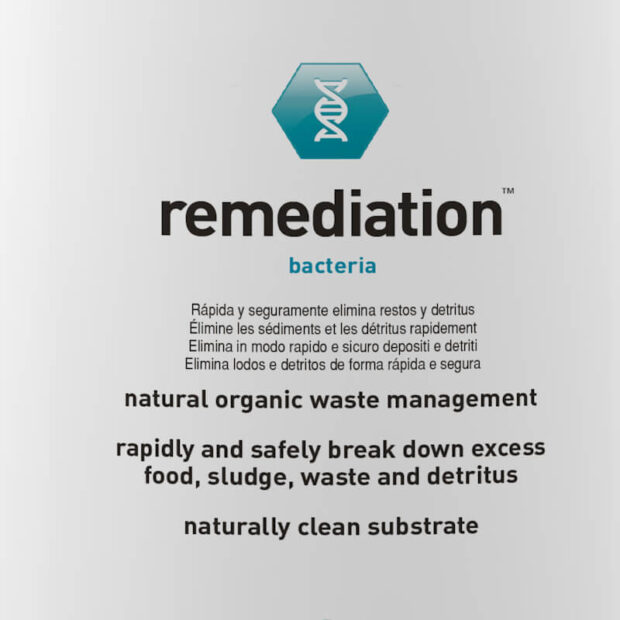 remediation aquavitro