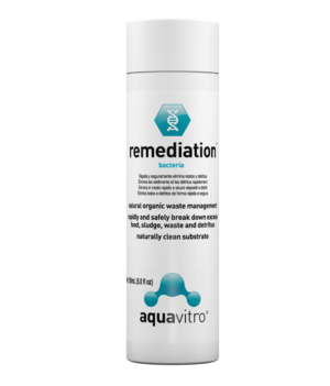 remediation aquavitro