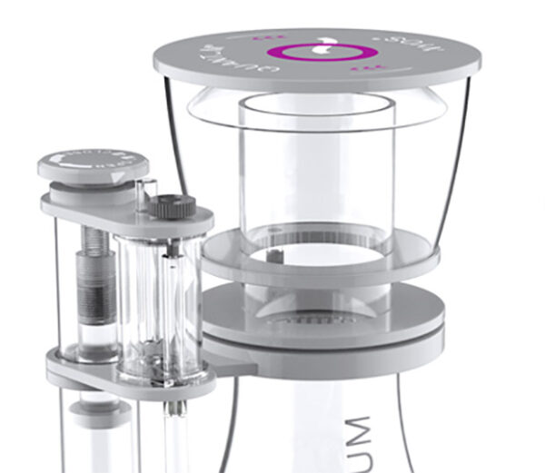 NYOS Quantum cup