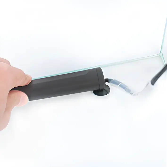 Jolly_placement CORALULTRA