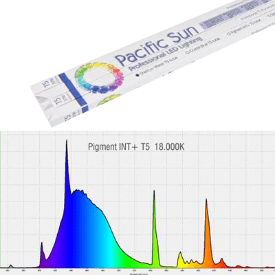PS-pigmentINT-ico