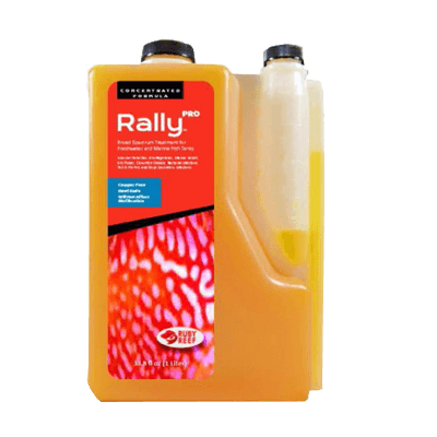 RR-rallypro-ico