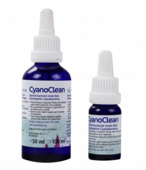 cyanoclean