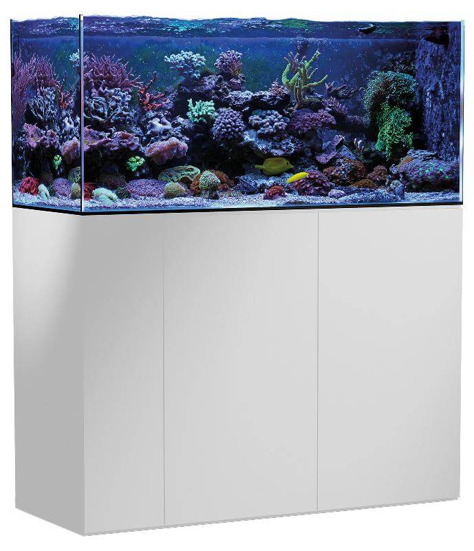 AM400_Armatus+series_15253498032