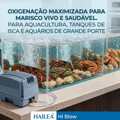 Hailea-HiBLow-info