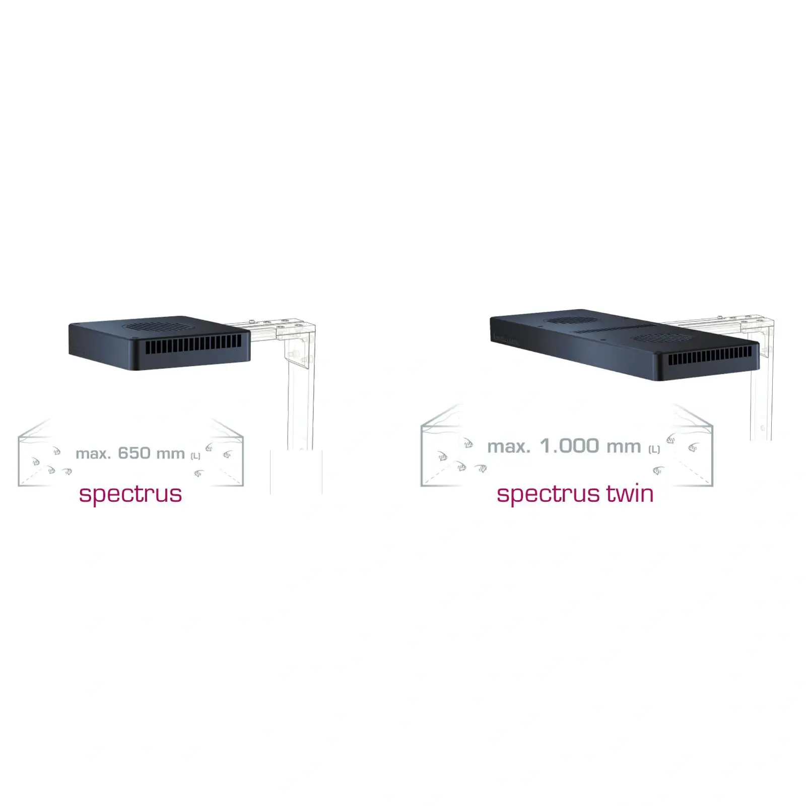 spectrus-spectrus-twin-tank-size