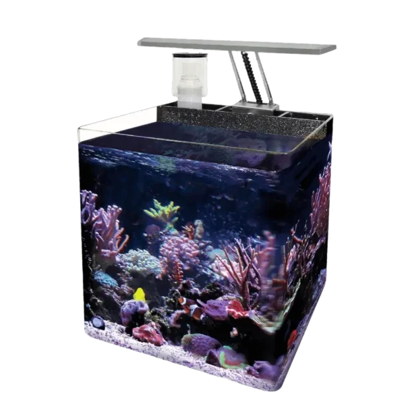 Luz nano-reef