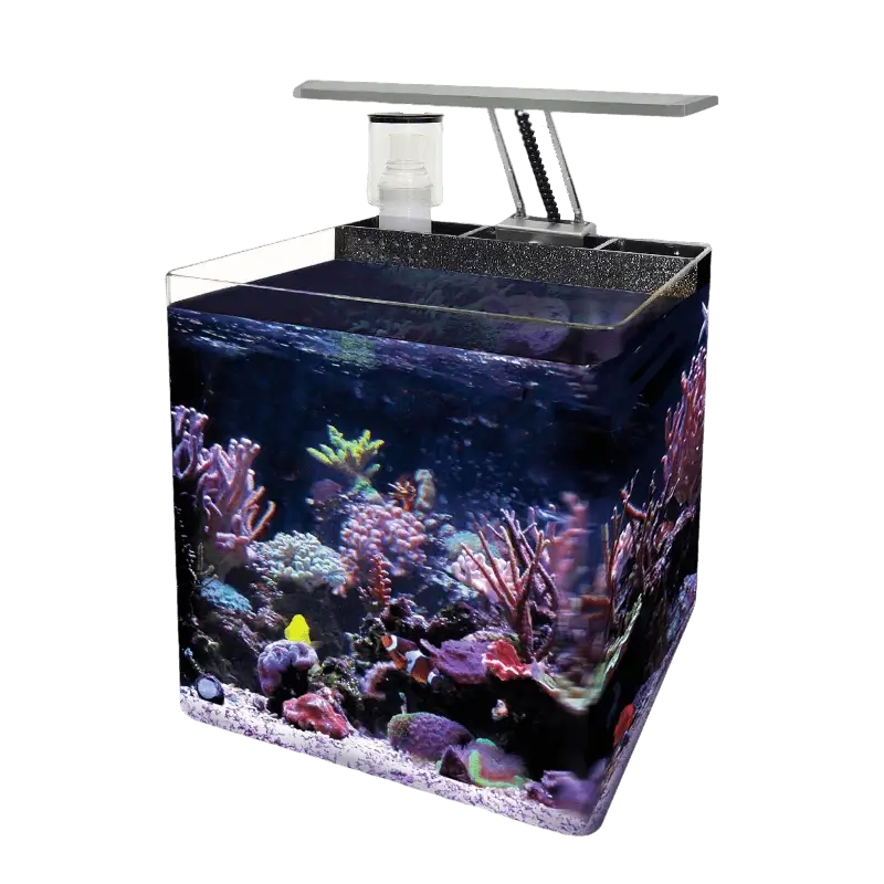 Luz nano-reef