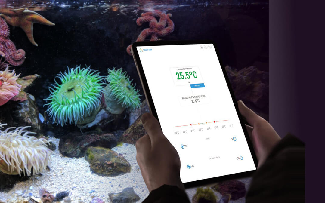 Reef factory thermo control