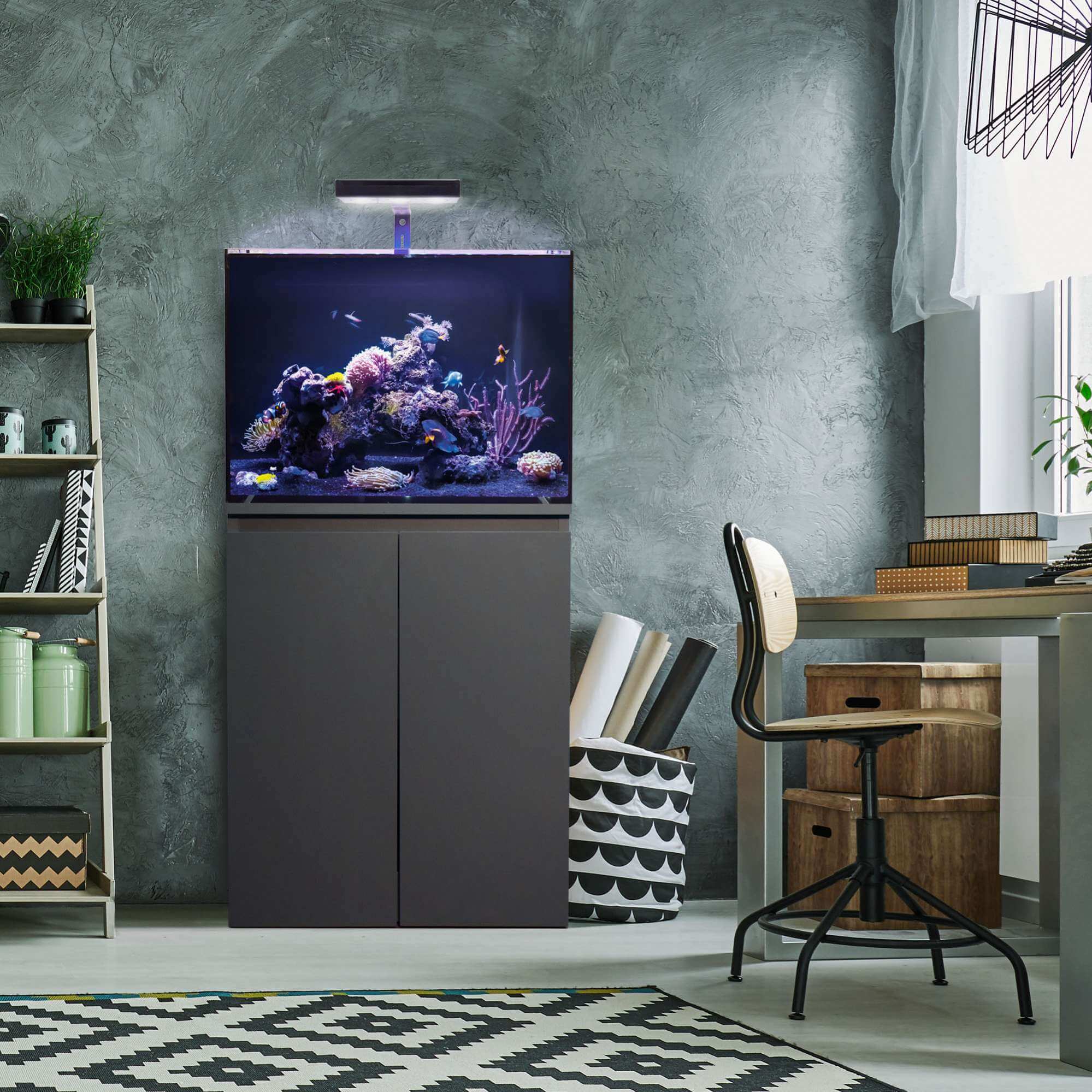 AO-aquario-koral-72-movel-exemplo