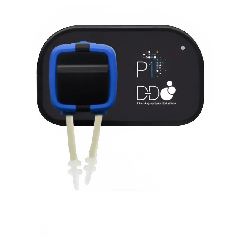 DD P1 front CORALULTRA