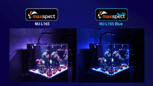 Maxspect MJ-L165 blue vs normal