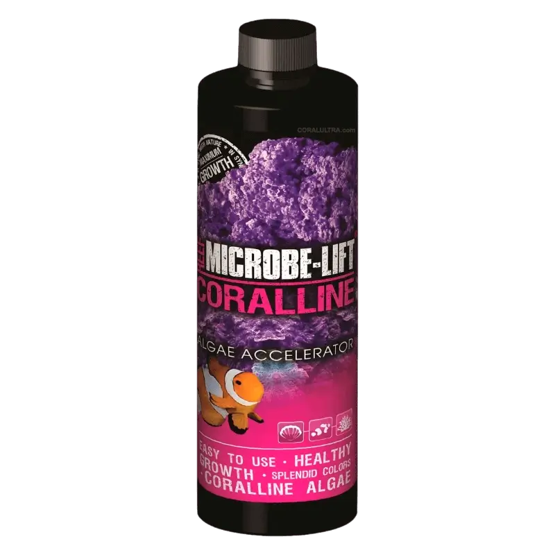ML-Coralline-algae-CORALULTRA