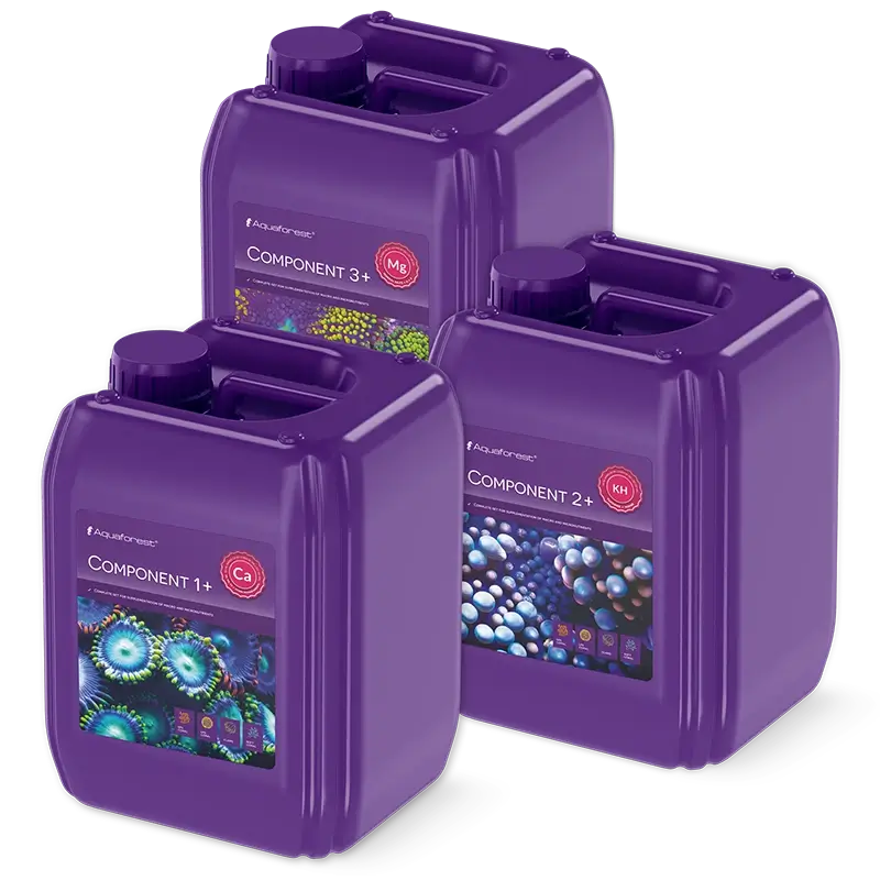AF Component1+2+3+ CORALULTRA