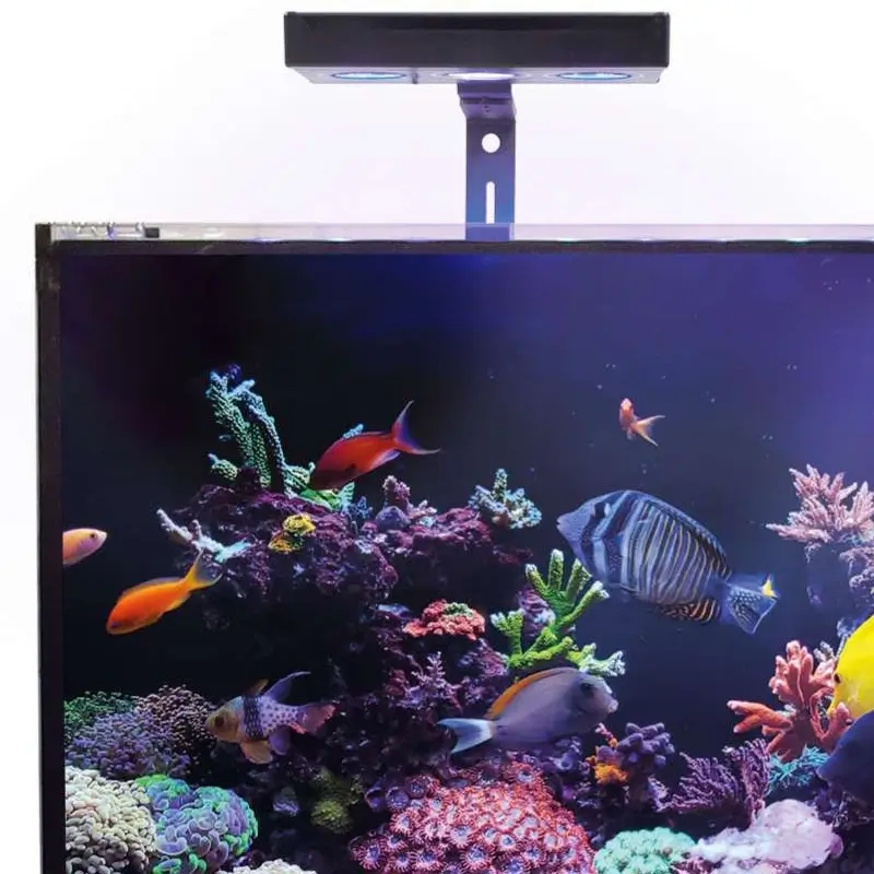 CORALLED A030 Aquario detalhe CORALULTRA