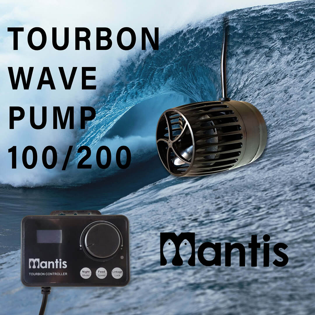 mantis-tourbon-insta-scaled