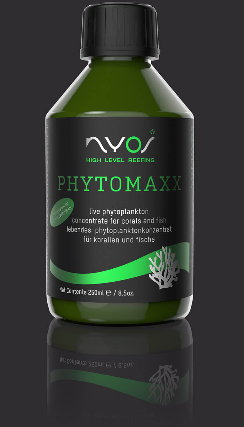 NYOS Phytomaxx_800x1400_dark