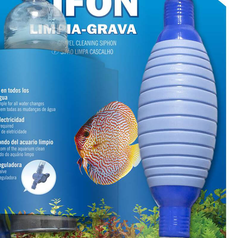 Sifao faucert balao Balão Sifão