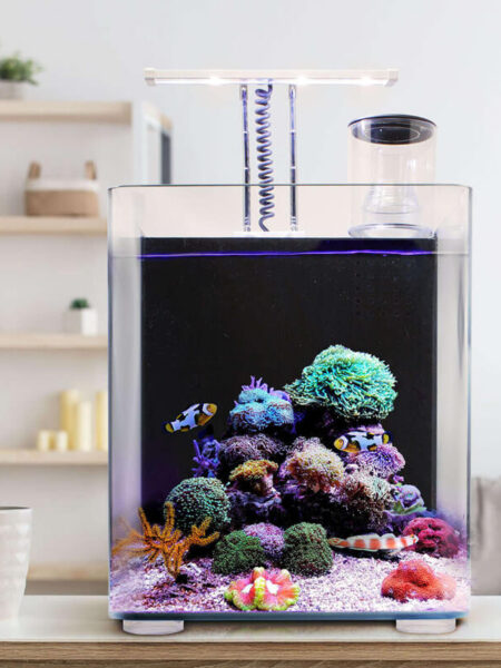 Ocean Free Aquário Nano Marine Kit