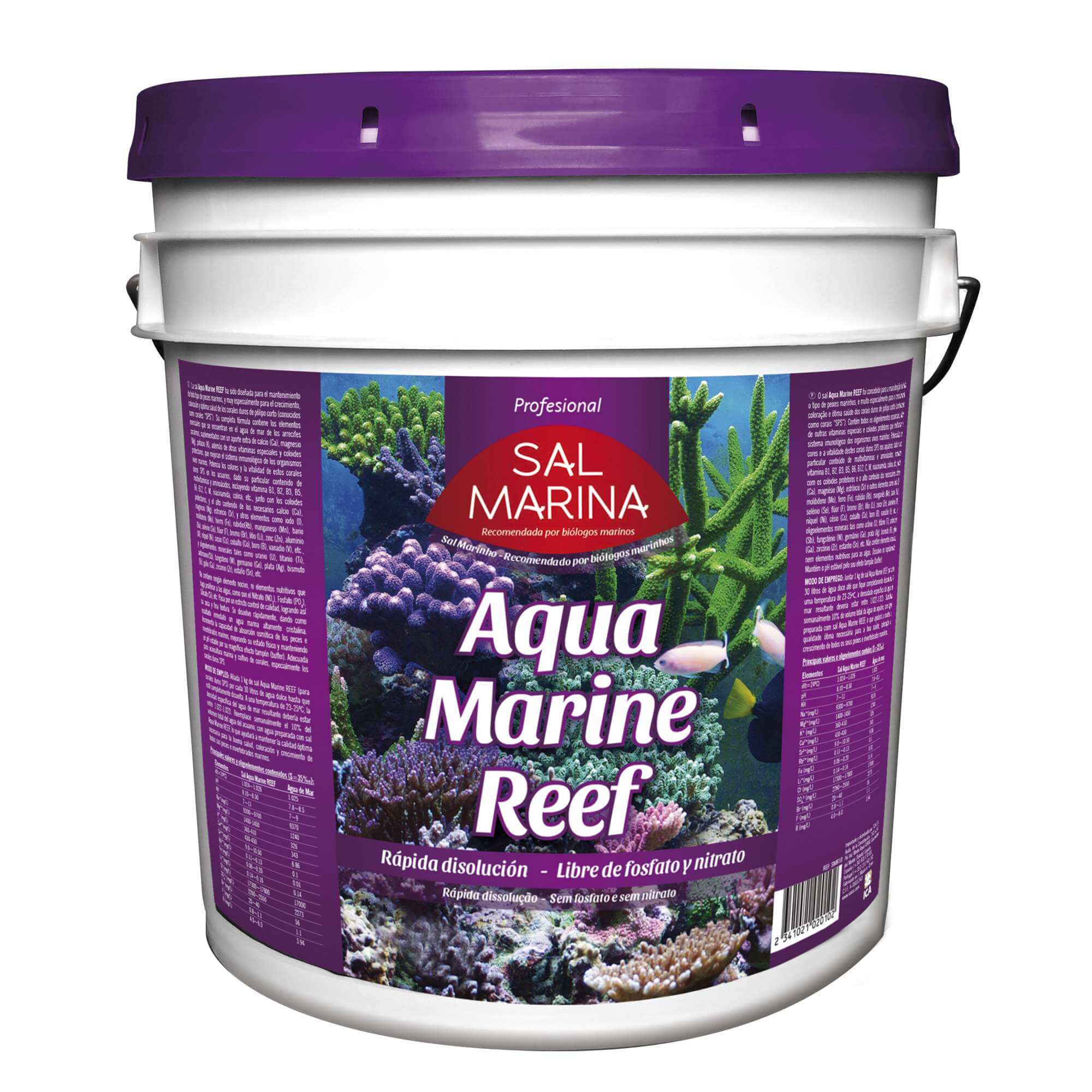 AM Reef 25