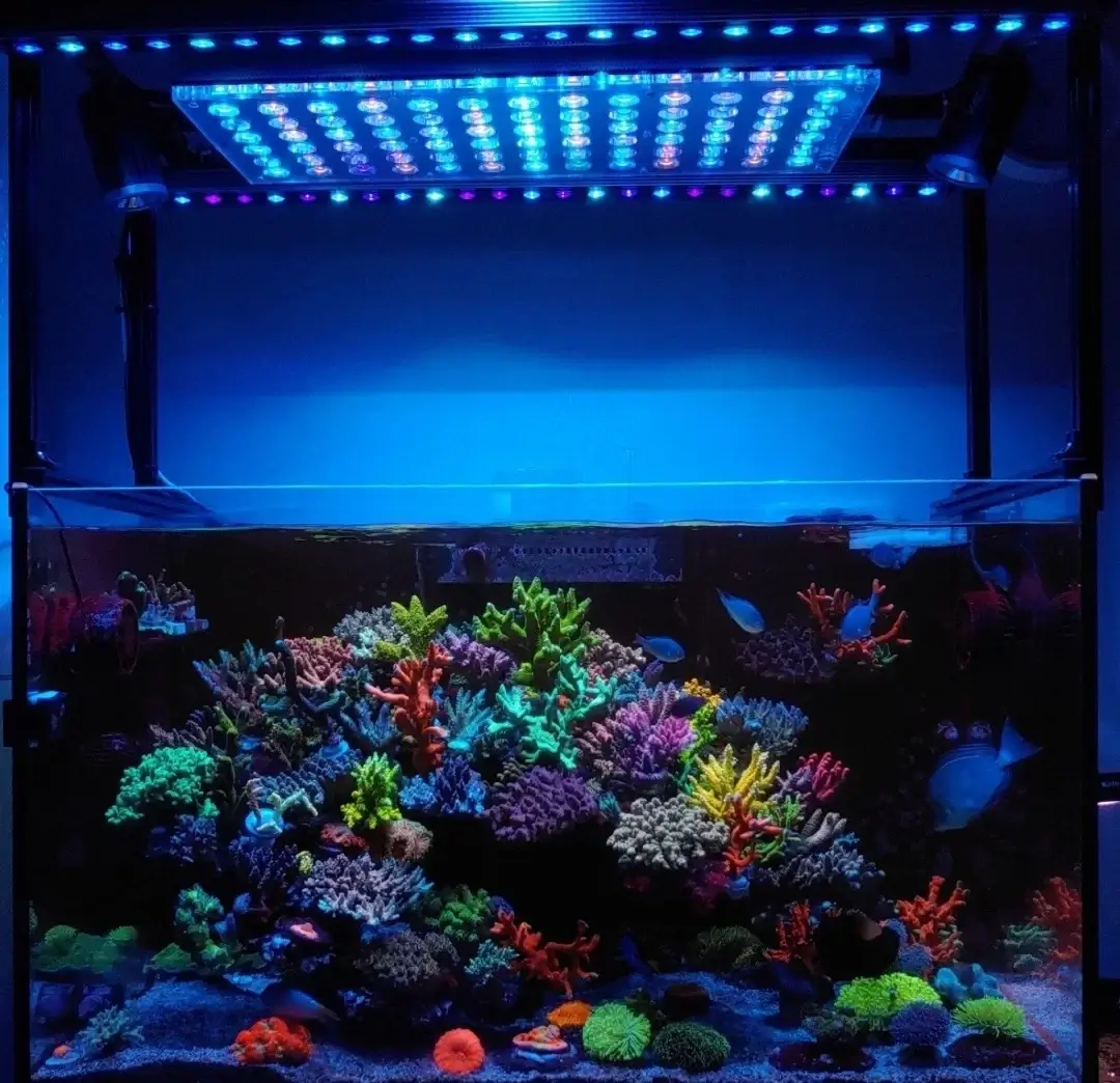 ORPHEK OR3 Orphek OR3