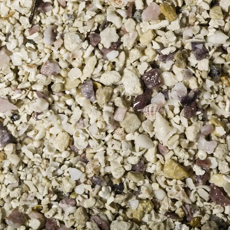 CaribSea Bermuda PINK CORALULTRA zoom 2