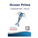 500-700 mícrons