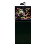 AI Prime 16HD