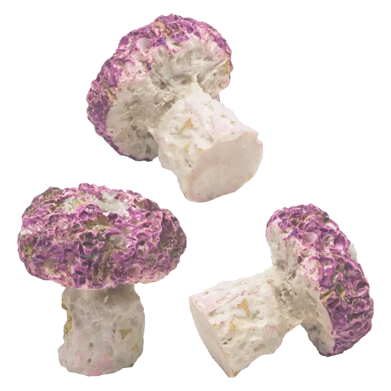 Rock Frags CORALULTRA