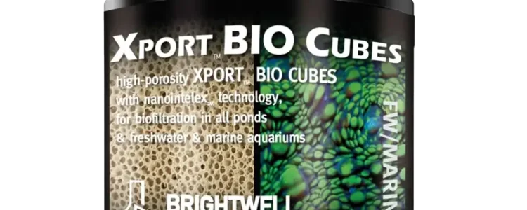 Brightwell Xport Bio Cubes