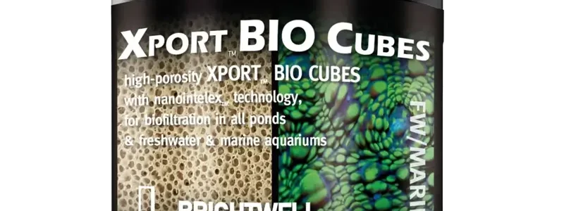 Brightwell Xport Bio Cubes