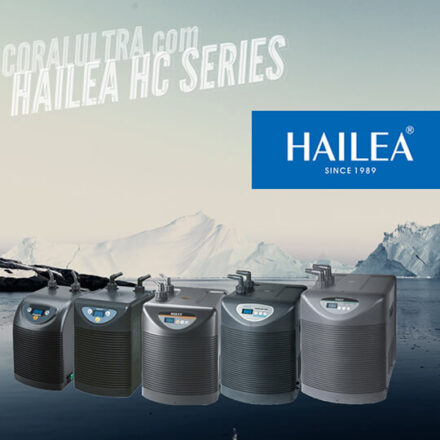 hailea-1