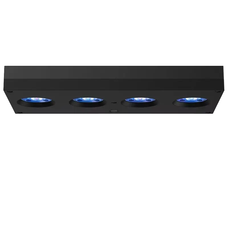 AI Hydra 64HD Black Diagonal CORALULTRA