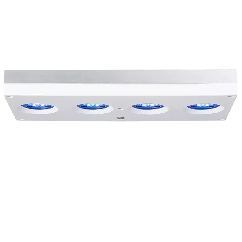 AI Hydra 64HD white Diagonal CORALULTRA