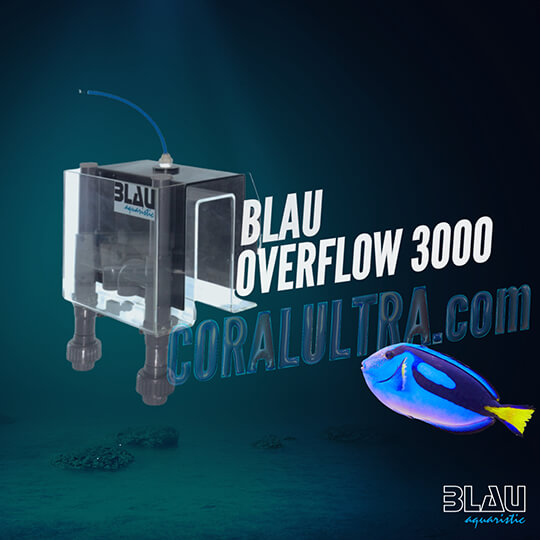 overflow blau