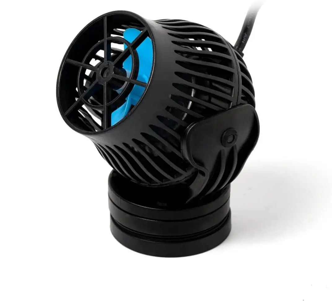 Jecod-EOW-22 white bkg