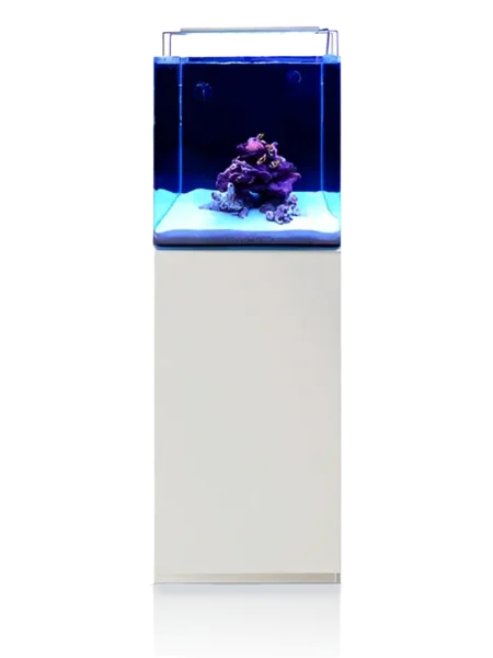 Blau Open Reef Set