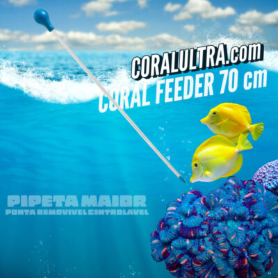 coral feeder PUB2