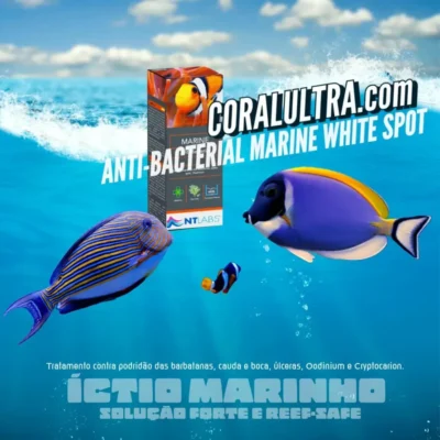 NTLABS-ANTIBACTERIAL-MARINE-ICH-PUB W