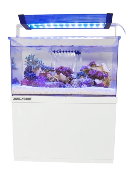 AquaMedic Armatus XS