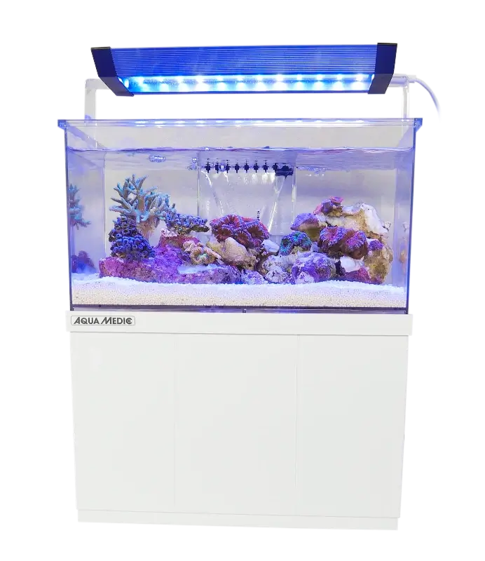 Aquamedic pico-reef Armatus XS