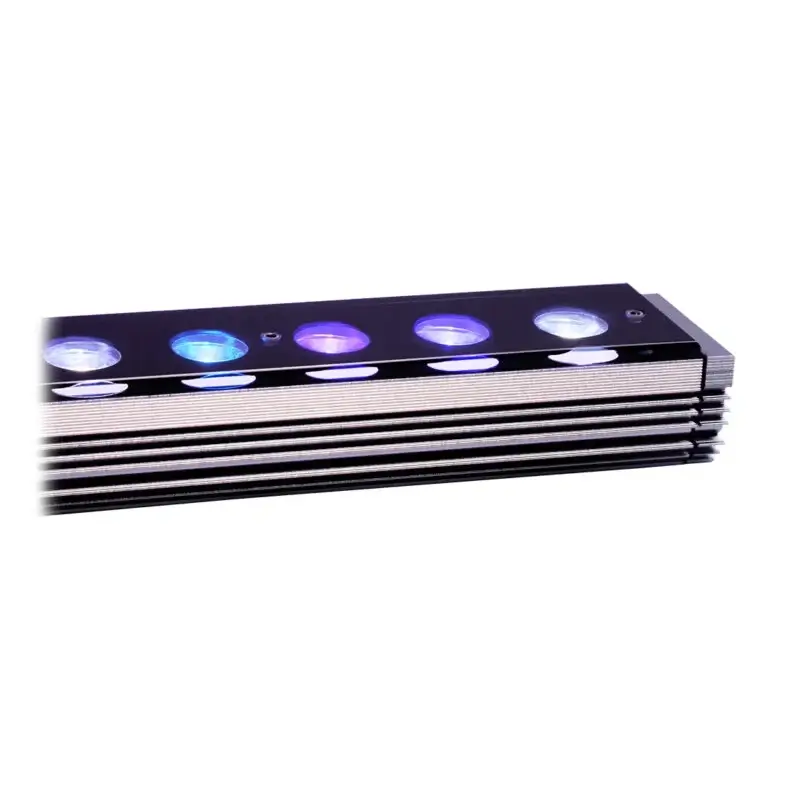 orphek-or4-reef-day CORALULTRA