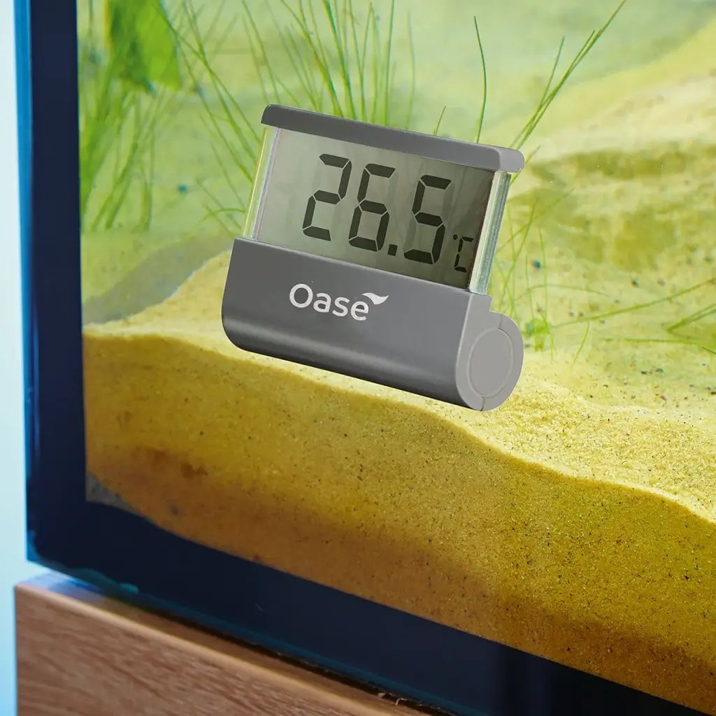 OASE-Digital-Thermometer-use-CORALULTRA
