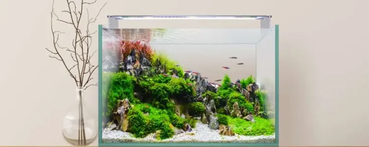 Kit Aquário Aquascape RGB