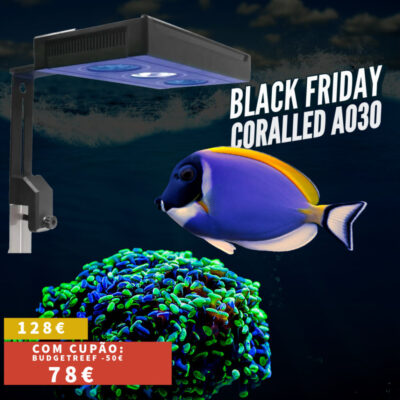 A030-black friday