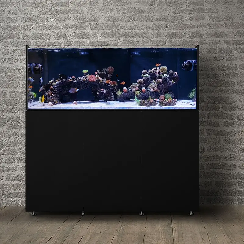 Waterbox INFINIA SCAPE CORALULTRA 2