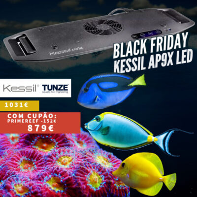 kessil-pub