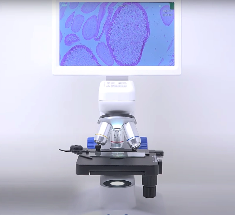 Microscopio Digital 7 closeup